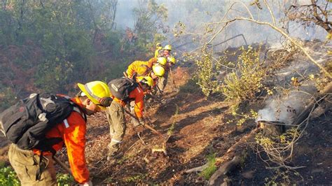 Decretan Estado De Catástrofe En 3 Regiones De Chile Por Los Incendios