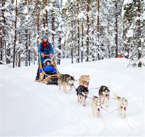 Balades et randonnées en chiens de traineaux Megève Tourisme