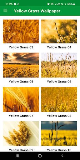 Yellow Grass Wallpaper For Pc Mac Windows 11 10 8 7 Free Download