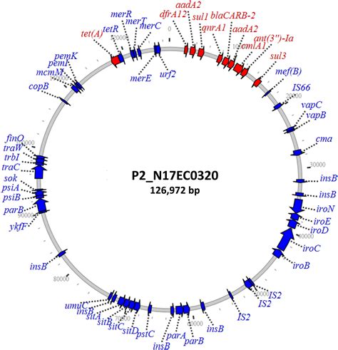 Frontiers Diverse Fluoroquinolone Resistance Plasmids From Retail