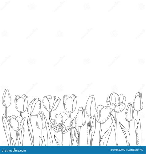 Hand Drawn Vector Graphic Tulips Silhouettes Of Summer Flowers