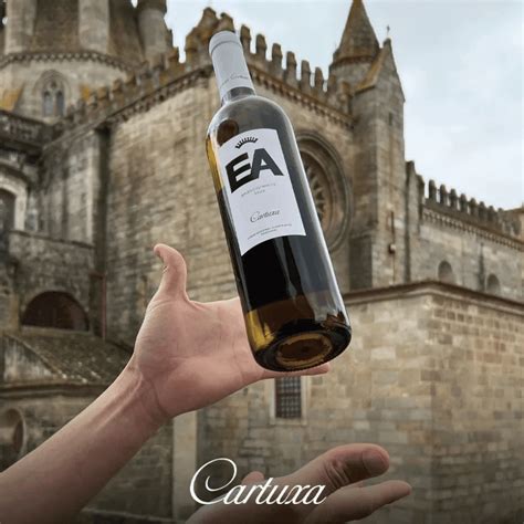 CARTUXA EA BRANCO Ícone Vinhos E commerce