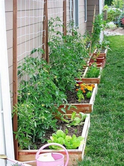 Awesome Backyard Design AwesomeBackyardDesign Backyard Vegetable