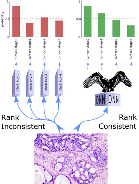 Condor Pytorch