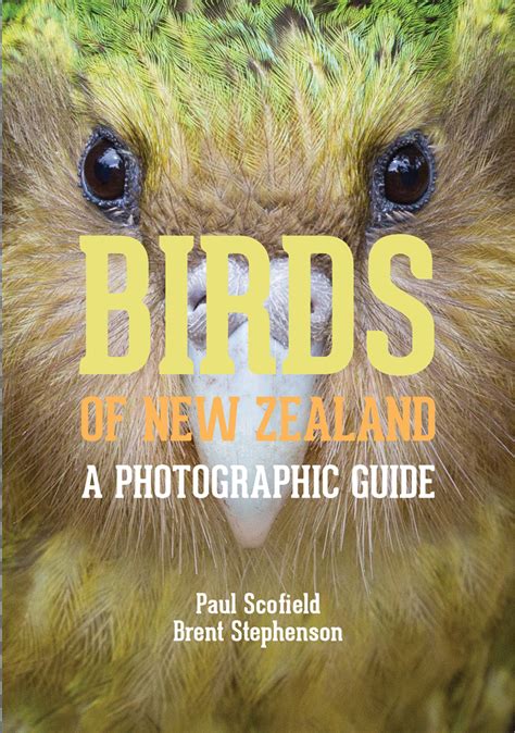 Birds Of New Zealand A Photographic Guide Birdguides