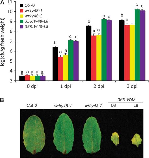 Figure From Stress And Pathogen Induced Arabidopsis Wrky Is A