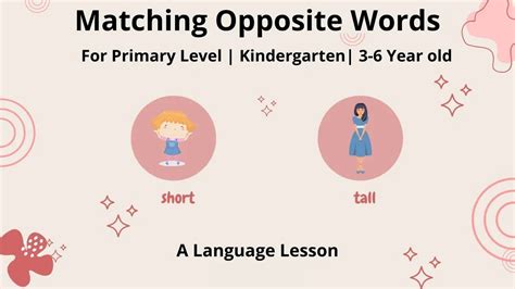 Matching Opposites Words Language Lesson Kindergarten Primary Level Gmn Youtube