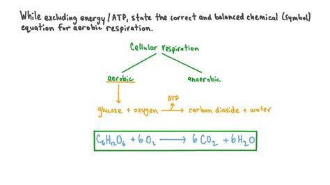 Lesson: Aerobic Respiration | Nagwa