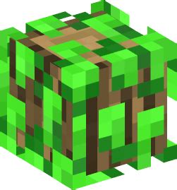bush  minecraft head