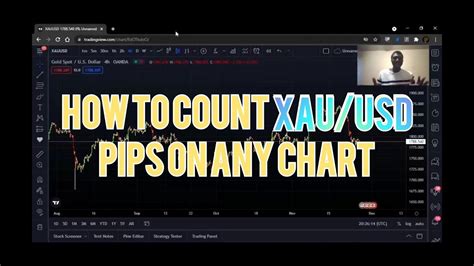 Forex Trading Training How To Count Gold Pips Xausd In Forex And