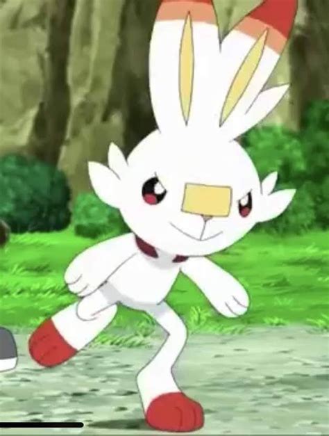 813 Scorbunny Screenshot In 2024 Pokemon Cute Pokemon All Pokemon