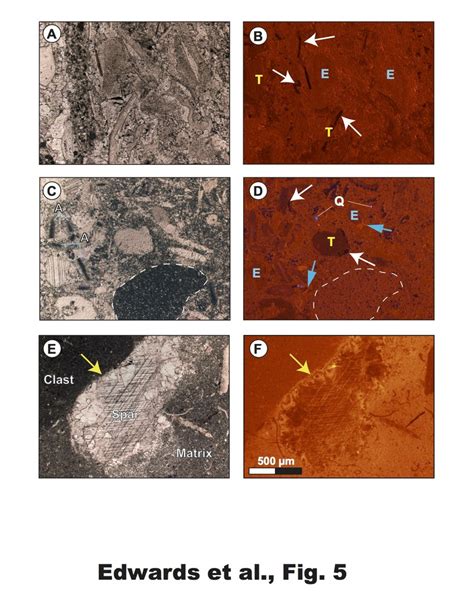 Photomicrographs Of Representative Of Lithologies Sampled In This