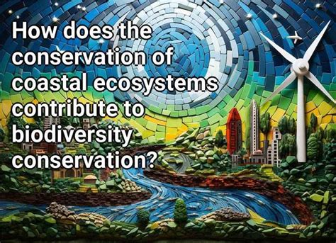 How Does The Conservation Of Coastal Ecosystems Contribute To