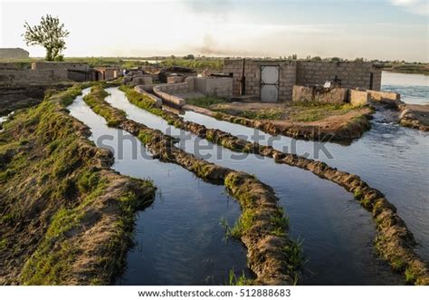 Irrigation Canal System Euphrates River Syria Stock Photo (Edit Now ...