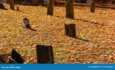 Beautiful Stone Tomb Graves In A Cemetery During The Fall Autumn Season