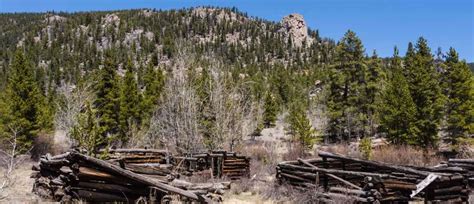 Davis Meadow Trail