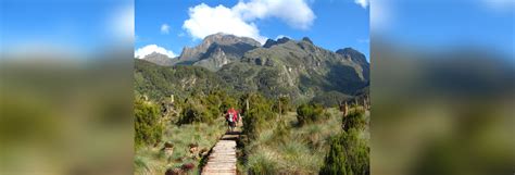 Rwenzori National Park - NEZA SAFARIS