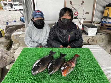 磯釣りでグレ43㎝まで2枚・イガミ・ゲット！ 一栄丸渡船｜三重県紀北町