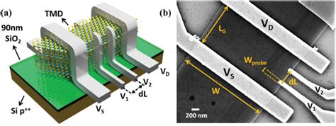 schematic illustration   scanning electron microscope sem