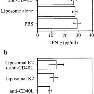 Inhibition Of The Proliferative Responses Of K Primed T Cells By