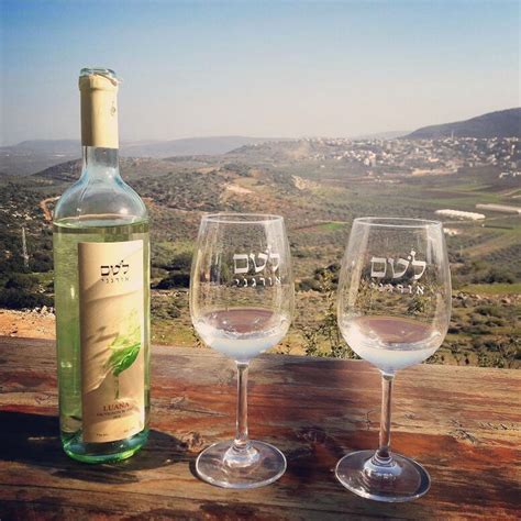 Israel Wineries