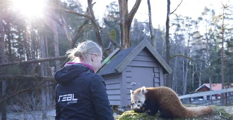 Öppet Hus På Borås Djurpark Realgymnasiet