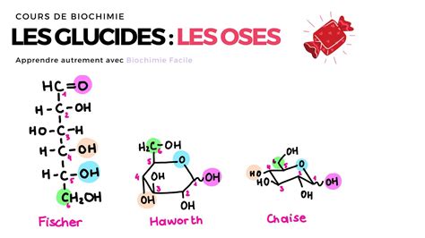 Glucides Les Oses Biochimie Facile Youtube