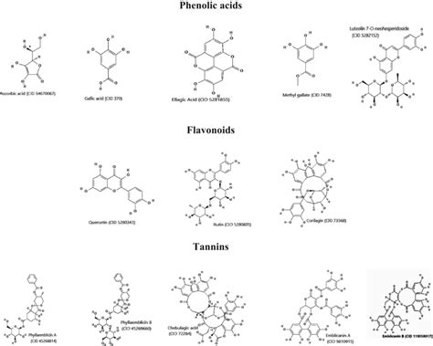 Major Bioactive Phenolic Compounds Present In Amla Fruit Source