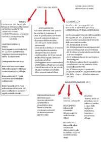 STRUTTURA DEL REATO tipicità antigiuridicità colpevolezza Docsity