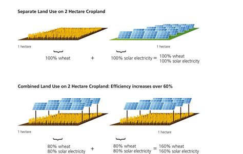 Harvesting The Sun The Growing Trend Of Agrivoltaics In Solar Energy Greentech Renewables