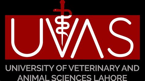 Introduction To University Of Veterinary And Animal Science Lahore