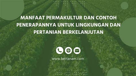 Manfaat Permakultur Dan Contoh Penerapannya Untuk Lingkungan Dan