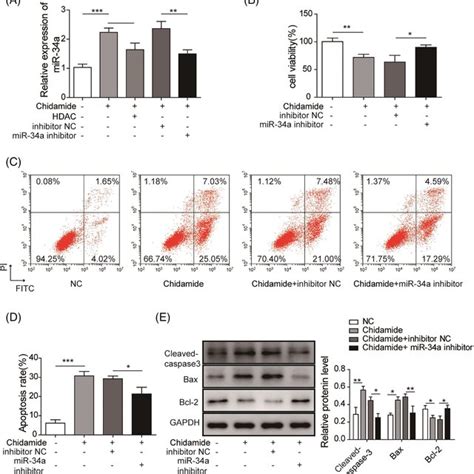 Chidamide Inhibits HDAC MRNA And Protein Expression In Leukemic Cells