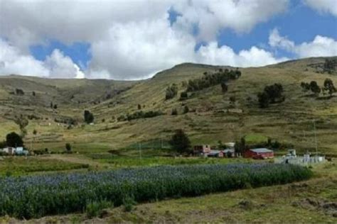 La Selva Soportará Otra Ola De Calor El Fin De Semana Y Temperaturas Llegarán A 35 Grados