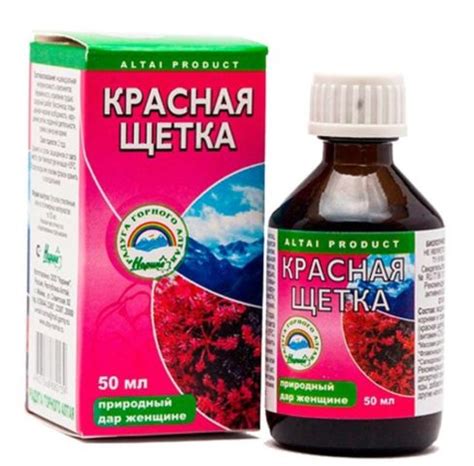 Красная щетка (родиола четырехлепестная): показания к применению для ...