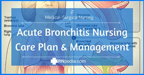 Acute Bronchitis Nursing Care Plan And Management