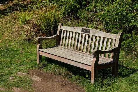 Miterdale Forest Copeland Area Information Map Walks And More