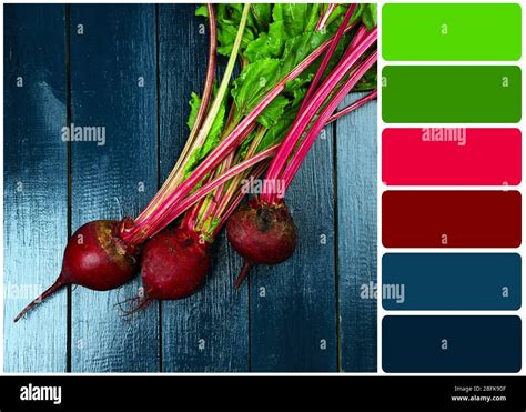 Beetroot Color Palette Website Color Palette, Color, 54% OFF