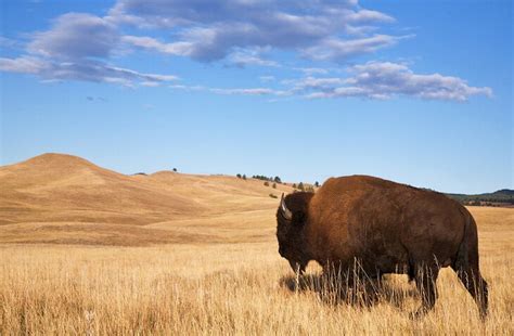 14 Top Tourist Attractions In South Dakota Planetware