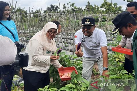 Jakarta Barometer Dukung DKI Bangun Lumbung Pangan Di Kepulauan Seribu