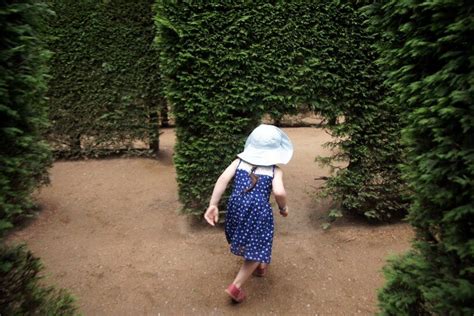 Enchanted Adventure Garden Maze And Tree Surfing Arthurs Seat