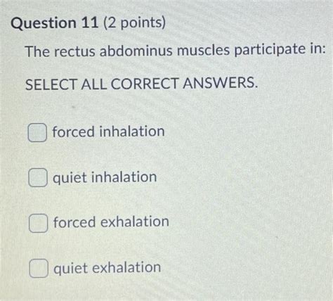 Solved Question 11 2 Points The Rectus Abdominus Muscles Chegg