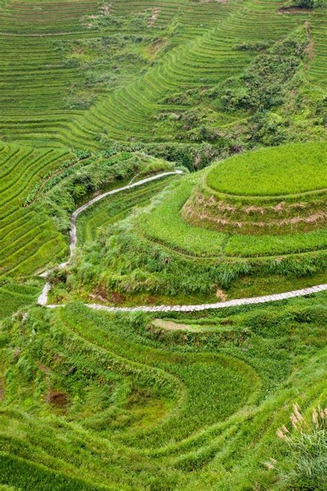 China rural landscape stock photo. Image of land, city - 20274528