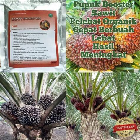 Pupuk Booster Sawit Agar Cepat Berbuah Lebat Pupuk Pohon Sawit Terbaik