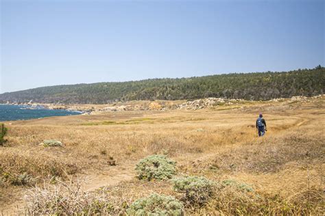 Salt Point State Park - Sonoma CoastHike Then Wine