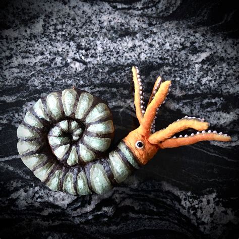 Nautilus - The Wooden Theatre