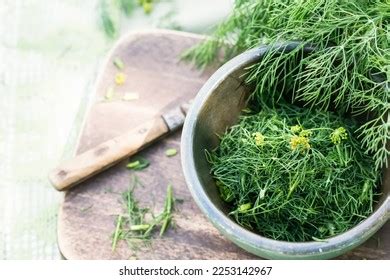 Dill Harvested Stock Photos Images Photography Shutterstock