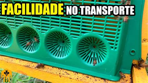 N O Perca Mais Enxames De Abelhas Apis No Transporte Tela De Escape