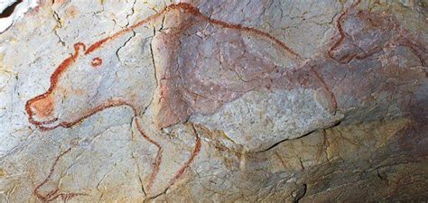 Fate of the Cave Bear | Paleolithic art, Cave paintings, Chauvet cave