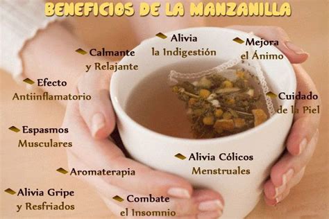 Realmente Conoces Todos los Beneficios que Tiene un Simple Té de